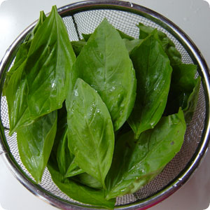 ���Ϥ���