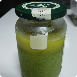 �ڡ����Ȥ��롣